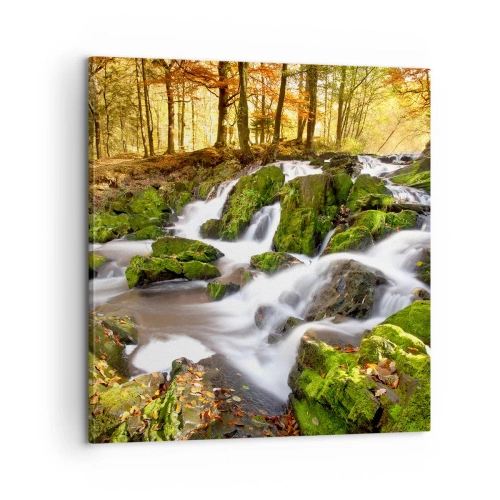 Schilderen op canvas - Snel door het herfstbos - 60x60 cm