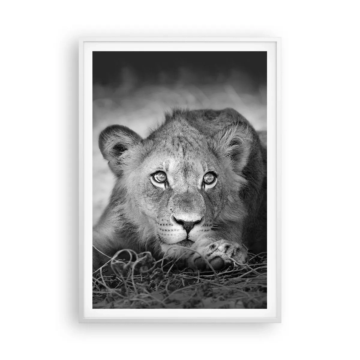 Poster in een witte lijst - Koninklijke puppy - 70x100 cm