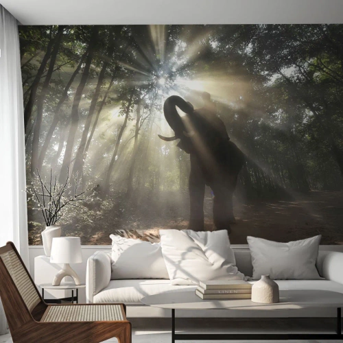 Fotobehang op maat Zelfklevend Deluxe Sticker - Onder de gelukkige ster - Landschap, Olifant, Oerwoud