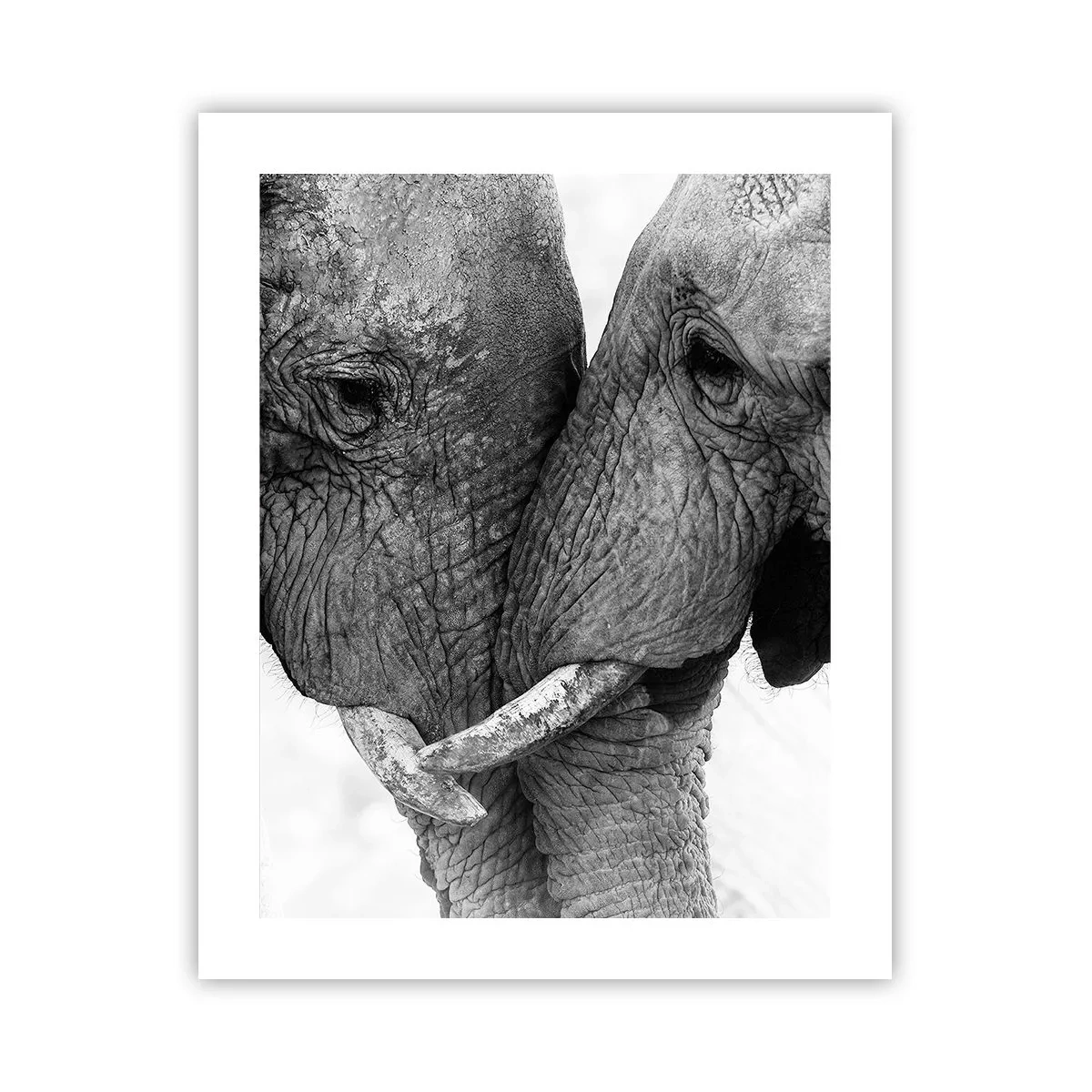 Poster - Oprechte bekentenis - 40x50 cm