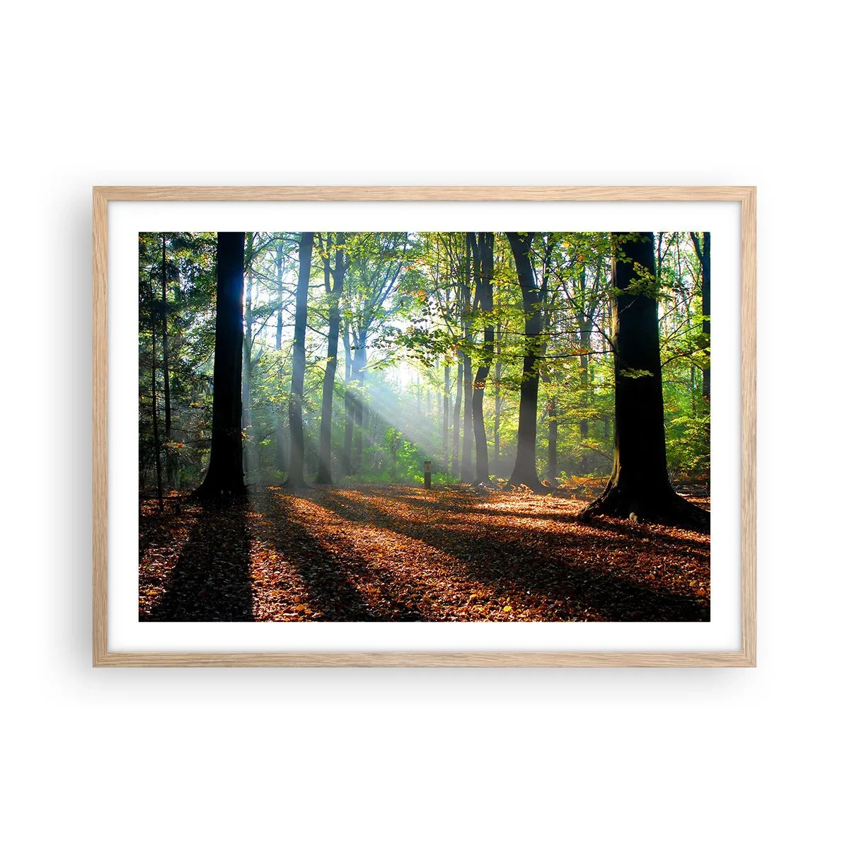 Een poster in een licht eiken lijst - Lichten en schaduwen - 70x50 cm