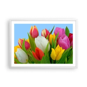 Poster in een witte lijst - Een bloemenregenboog in dauwdruppels - 70x50 cm
