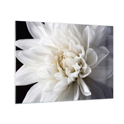 Schilderen op glas - Een close-up van een witte dahlia op een zwart-grijze achtergrond - 70x50cm - Ochtend van de bruid - Moderne wanddecoratie voor woonkamer en slaapkamer ARTTOR