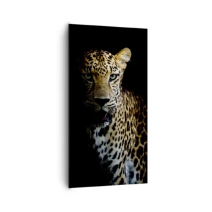 Schilderen op canvas - Donkere schoonheid - 65x120 cm