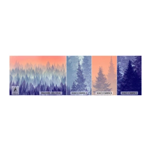 Fotobehang Staaltje Standard Eco - Hoog, hoger, naar de hemel - Abstractie, Woud, Deel - 100x30 cm