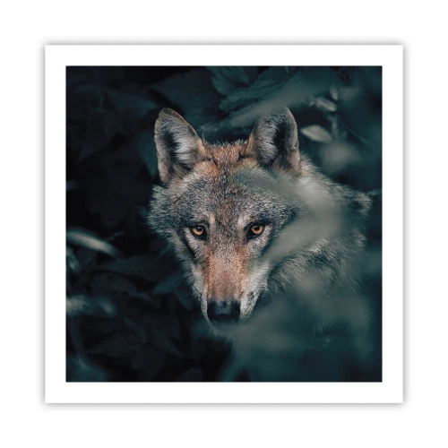 Poster - Jager - 60x60 cm