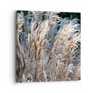 Schilderen op canvas - Gekleed met vorst - 30x30 cm