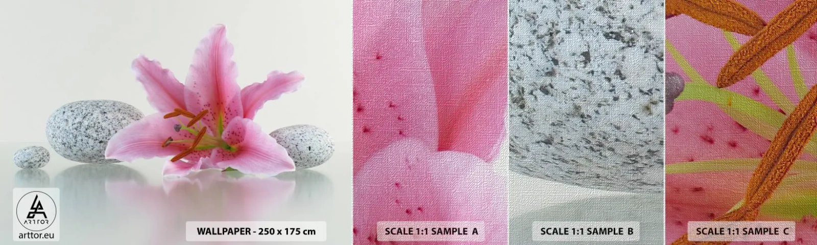 Fotobehang Monster Premium Canvas - Een studie in roze, grijs en wit - Bloemen, Lelie, Stenen - 100x30 cm