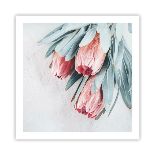 Poster - Schaamt zich voor hun eigen schoonheid - 60x60 cm