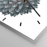 Dash schild