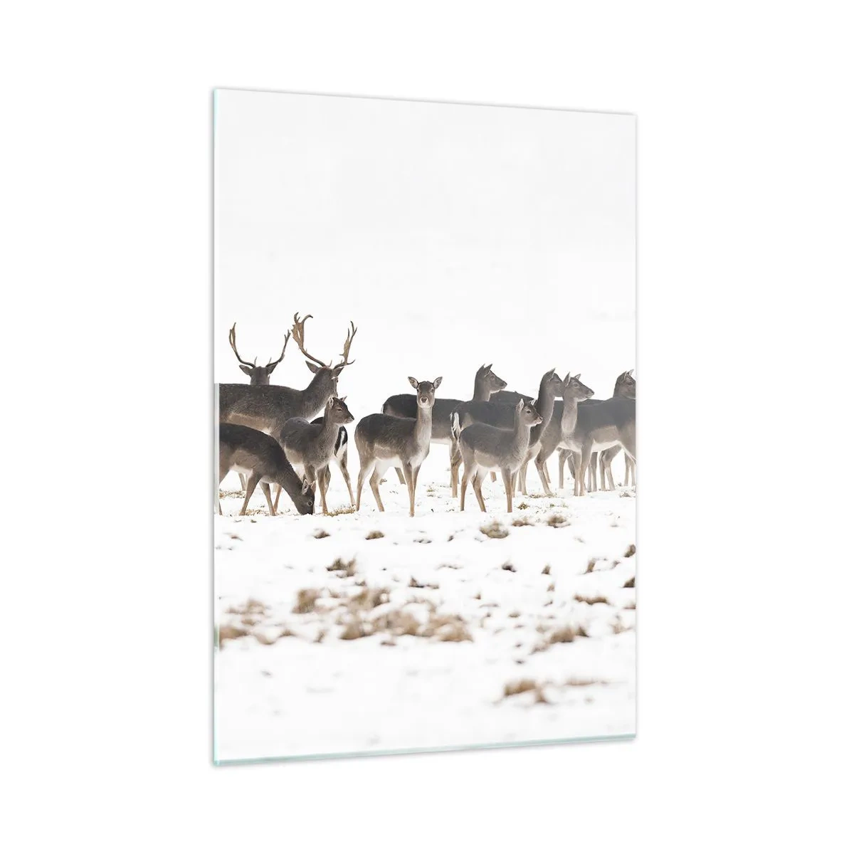 Schilderen op glas - De kerst komt eraan? - 50x70 cm
