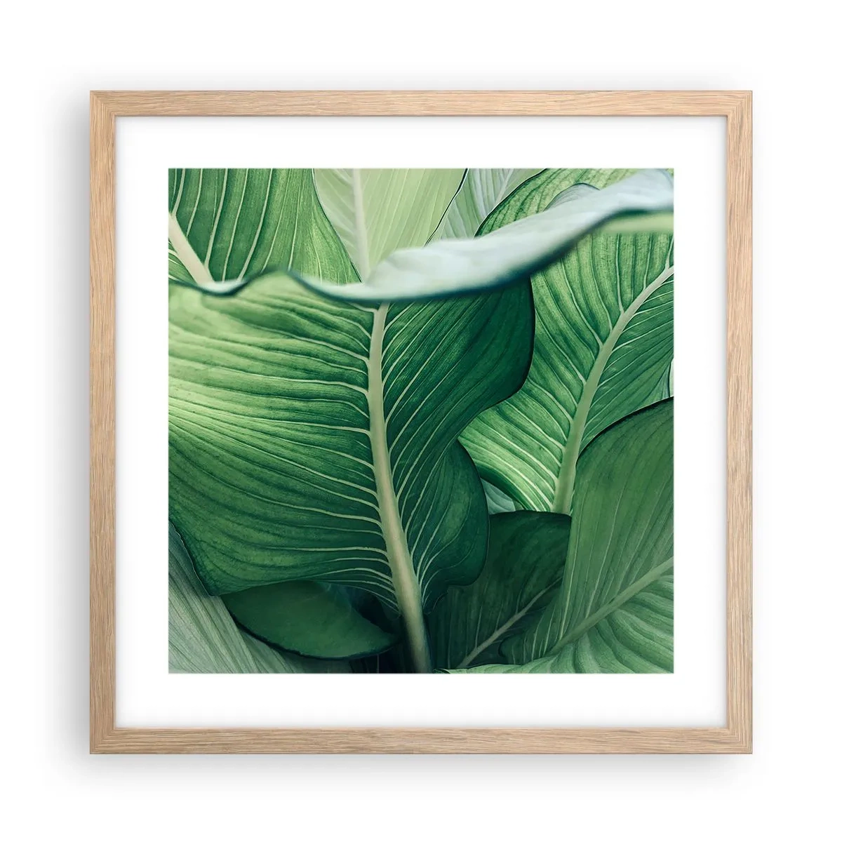 Een poster in een licht eiken lijst - Intens groen leven - 40x40 cm