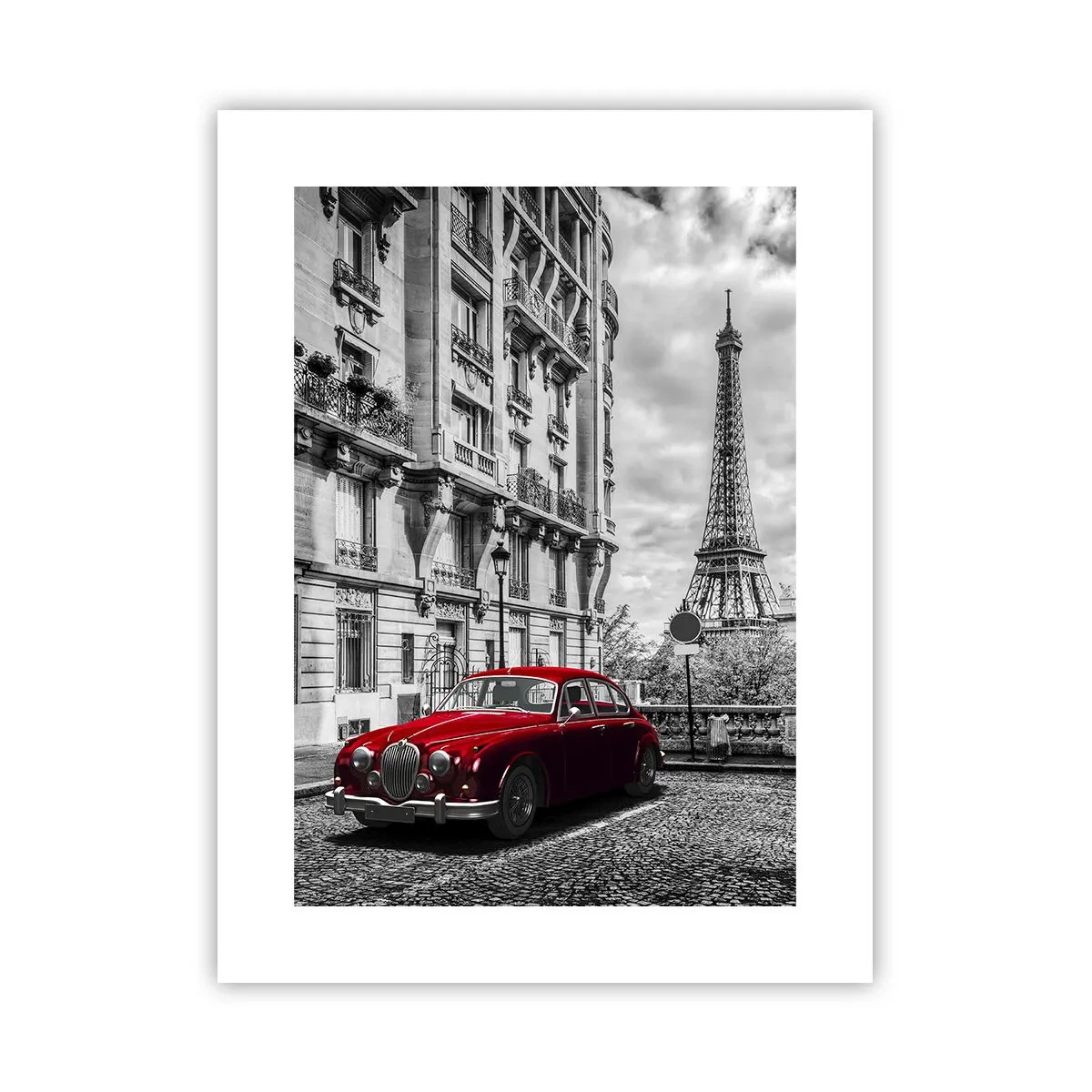 Poster - Roofdier in de stad - 30x40 cm