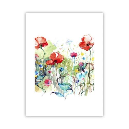 Poster - Bloeiende meiweide - 30x40 cm