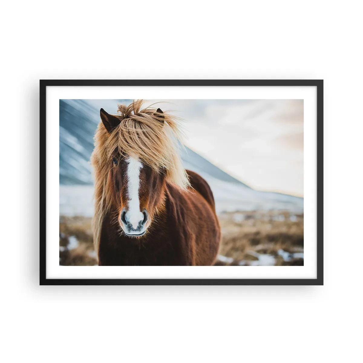 Poster in een zwarte lijst - Voel jij je vrij? - 70x50 cm