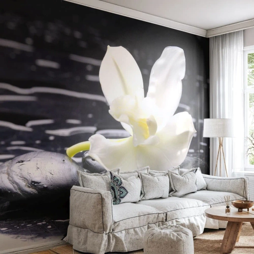 Zelfklevend Fotobehang Deluxe Sticker - Een studie in zwart-wit - Bloemen, Stenen, Orchidee - 150x105 cm