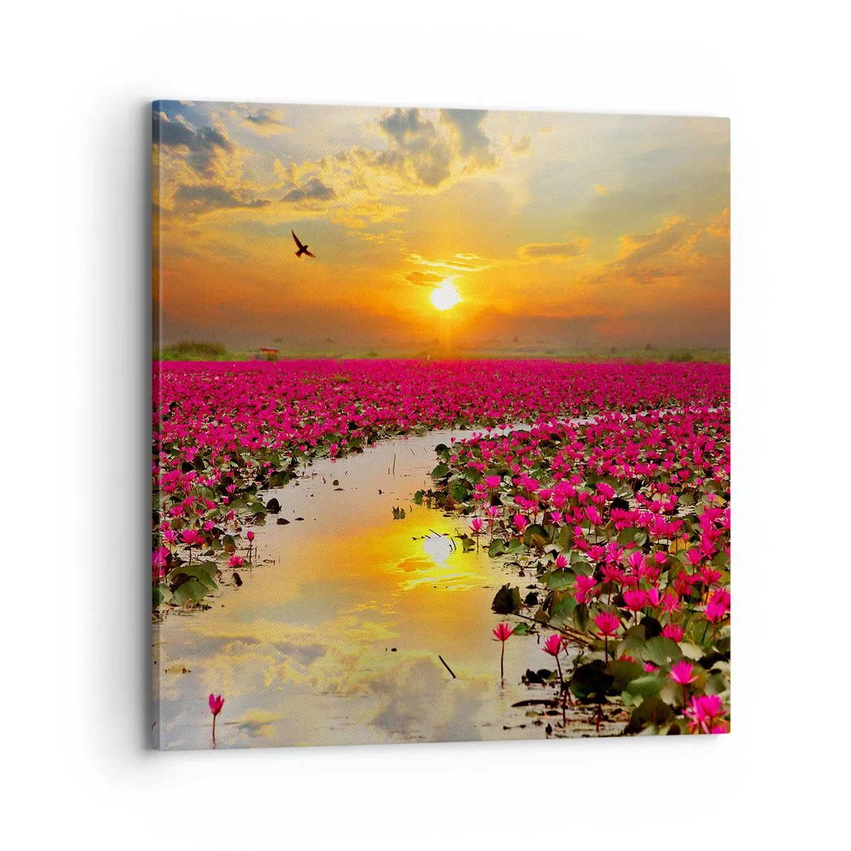 Schilderen op canvas - Het geheime leven van het meer - 70x70 cm