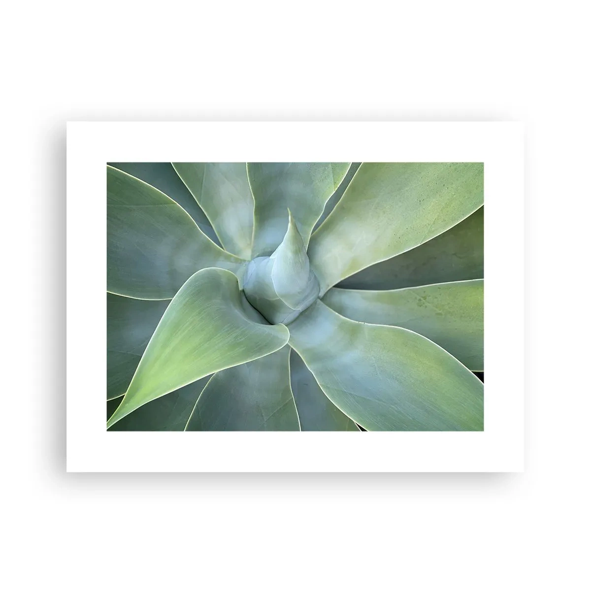 Poster - De geboorte van groen - 40x30 cm