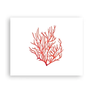 Poster - Koraal filigraan - 50x40 cm