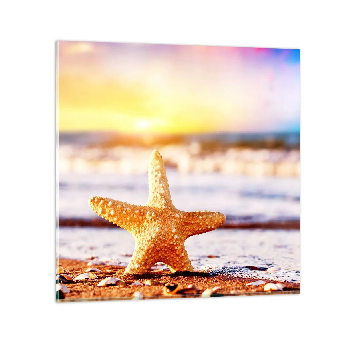 Schilderen op glas - Een geschenk uit de zee - 70x70 cm