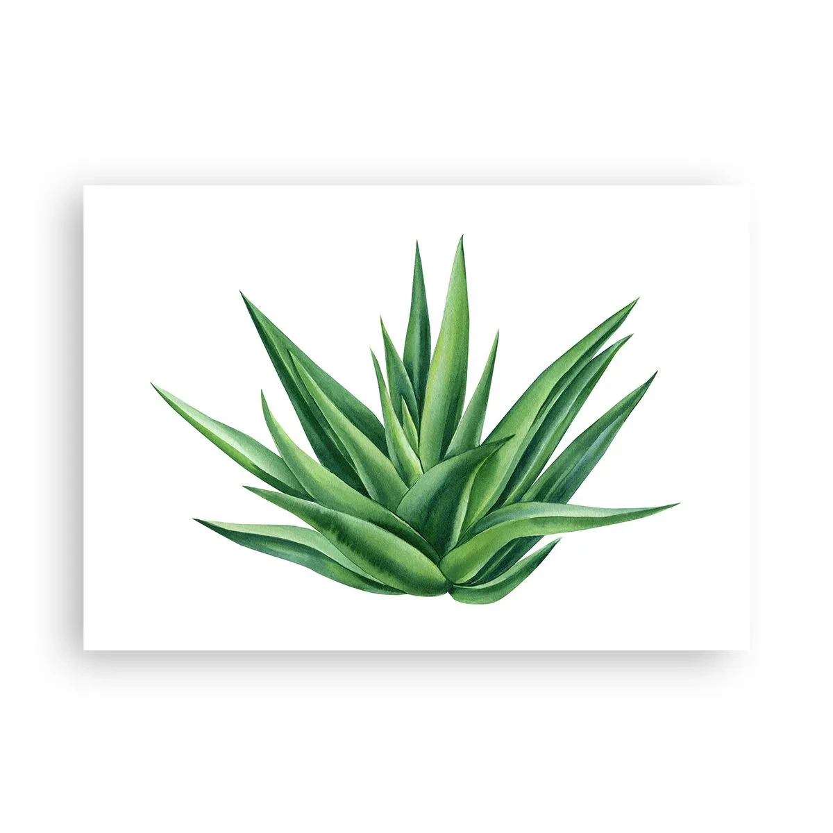Poster - Groen – kracht – leven - 100x70 cm