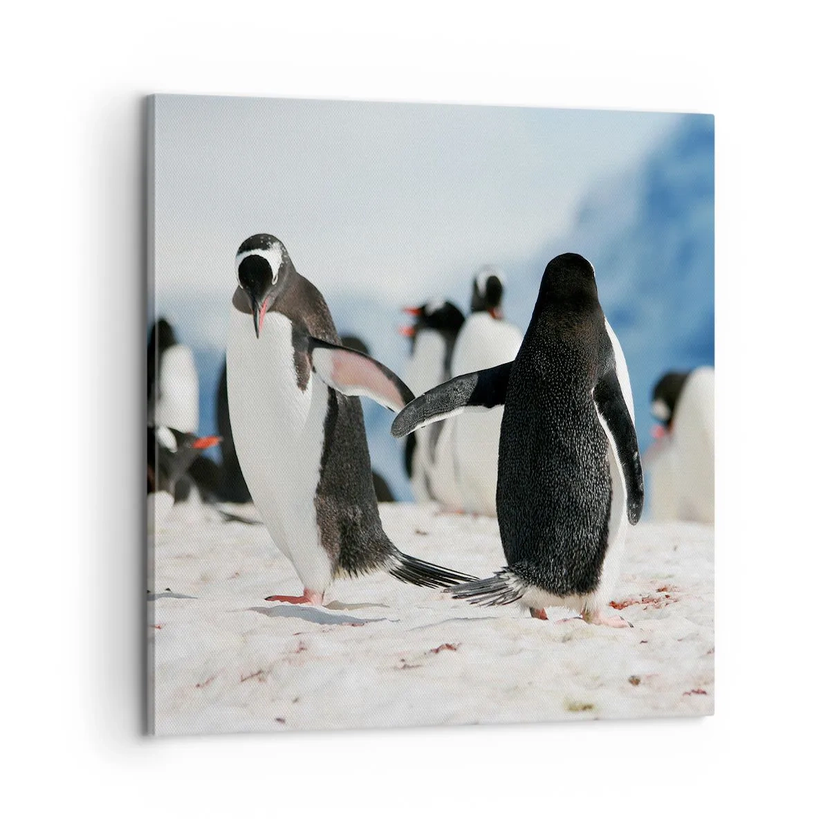 Schilderen op canvas - Dansen in de sneeuw - 60x60 cm