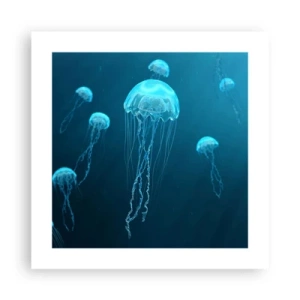 Poster - Oceaandans - 40x40 cm