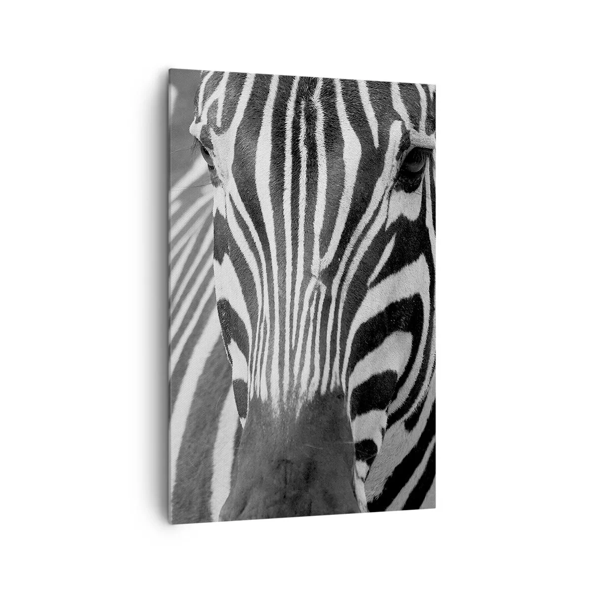 Schilderen op canvas - De wereld is zwart-wit - 80x120 cm