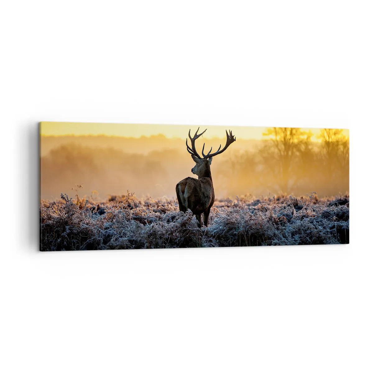 Schilderen op canvas - Gekroond op zijn landgoed - 140x50 cm