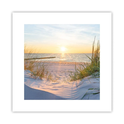 Poster - Het geluid van de zee, het zingen van vogels, een wild strand tussen het gras... - 30x30 cm