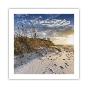 Poster - Een uitnodiging voor een wandeling - 50x50 cm