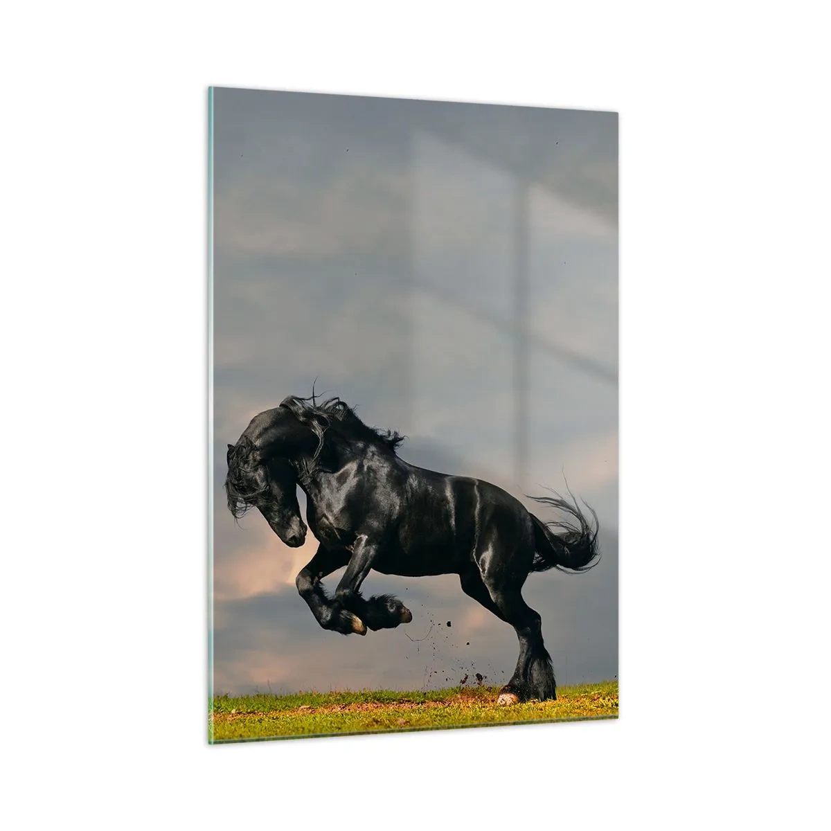 Schilderen op glas - Mooi en vrij - 50x70 cm