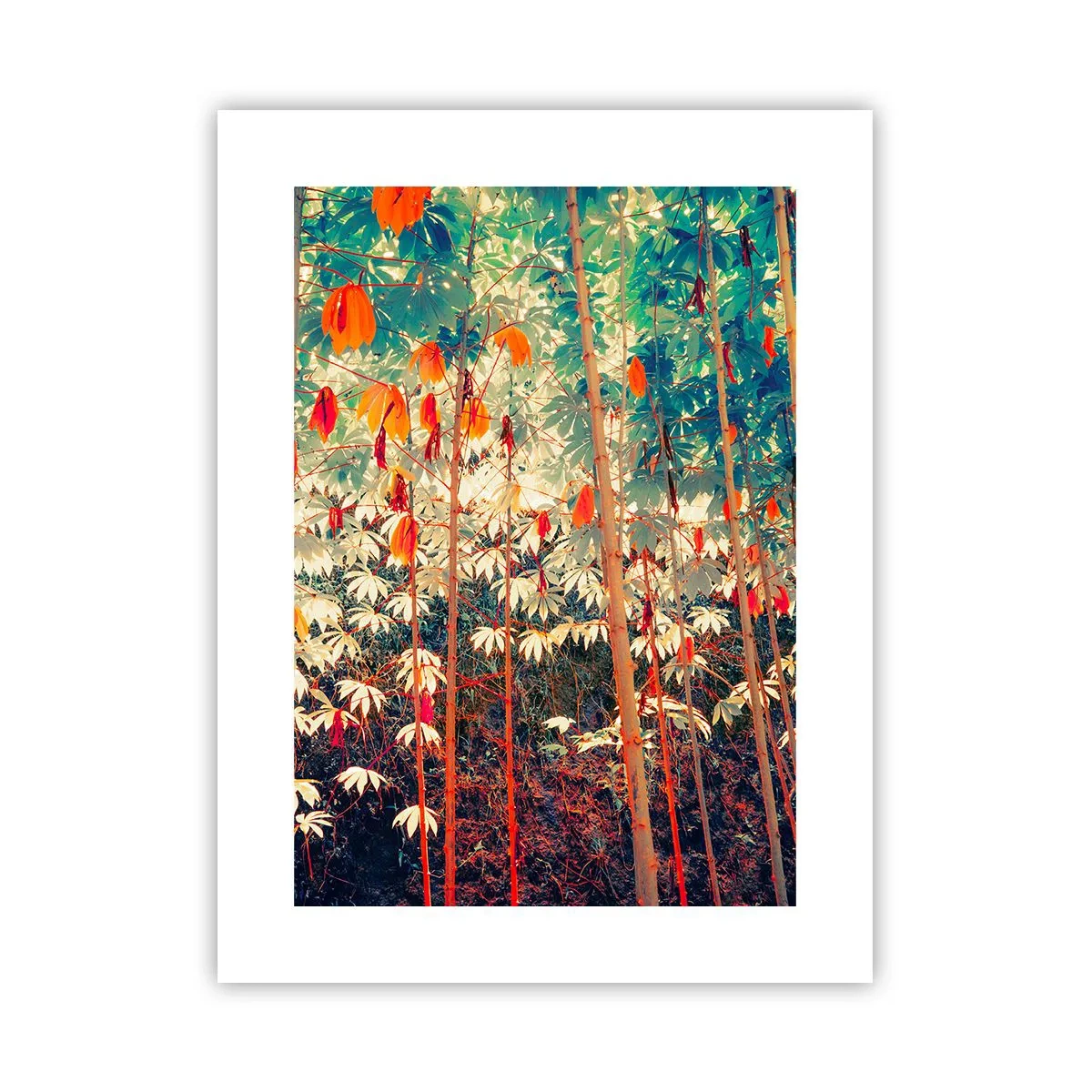 Poster - Het geheime leven van de bladeren - 30x40 cm