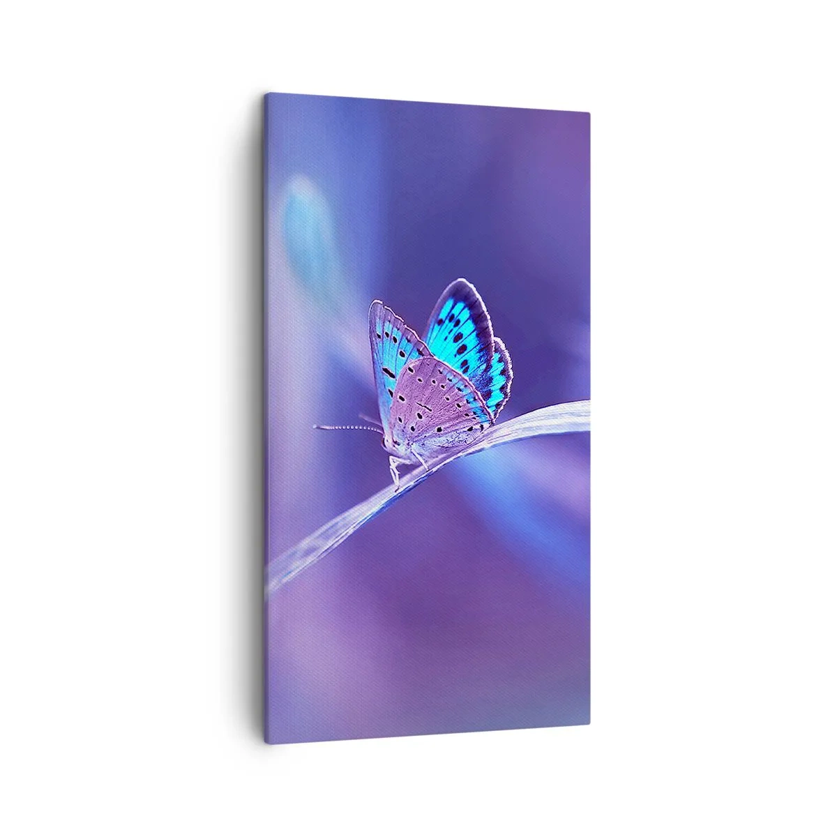 Schilderen op canvas - Een juweel van de natuur - 45x80 cm