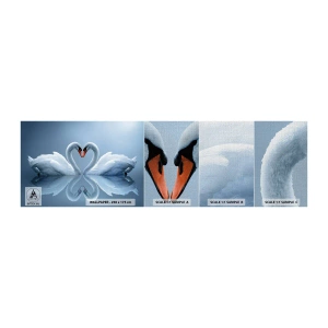 Fotobehang Monster Premium Canvas - Tijd voor liefde - Zwanen, Liefde, Hart - 100x30 cm