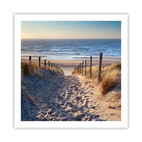 Poster - Het geluid van de zee, het zingen van vogels, een wild strand tussen het gras... - 60x60 cm