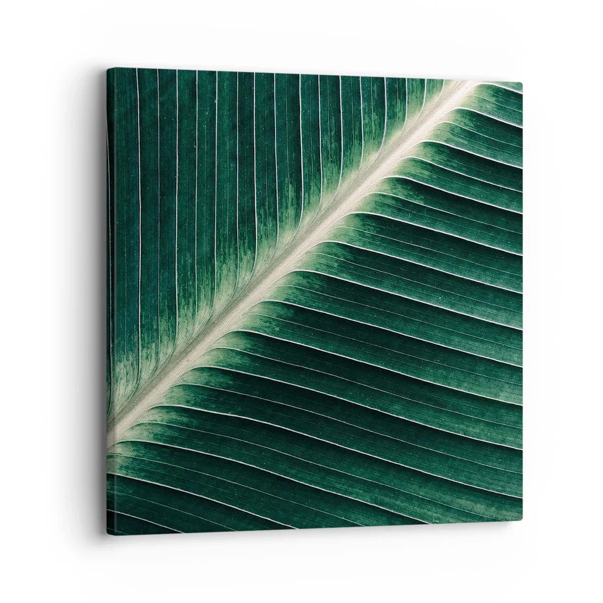Schilderen op canvas - Het ritme van de natuur - 30x30 cm