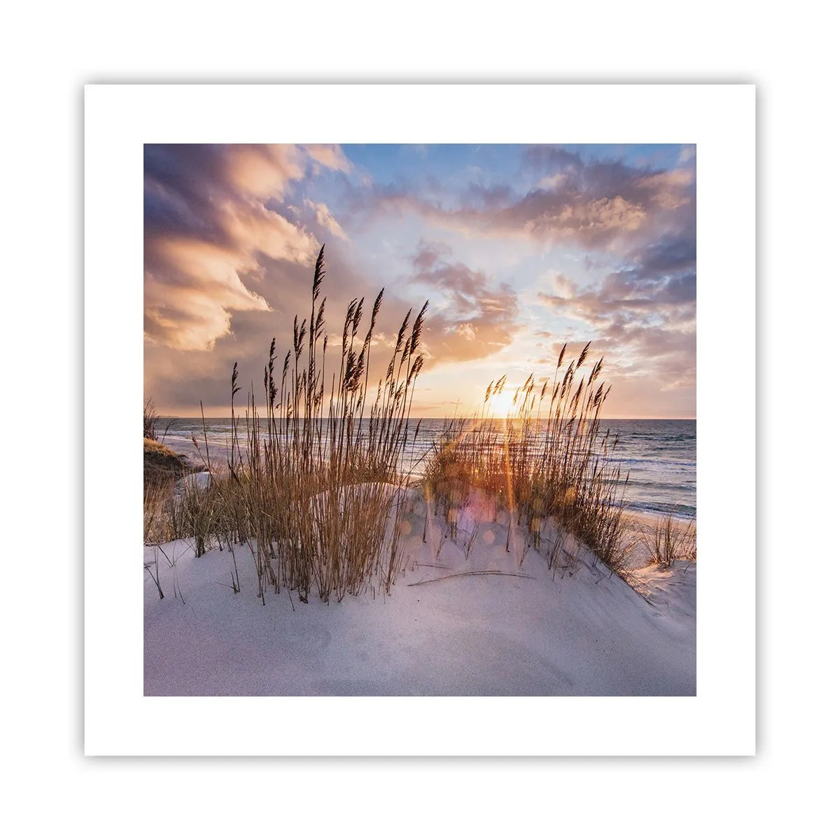 Poster - Afscheid van de zon en de wind - 40x40 cm