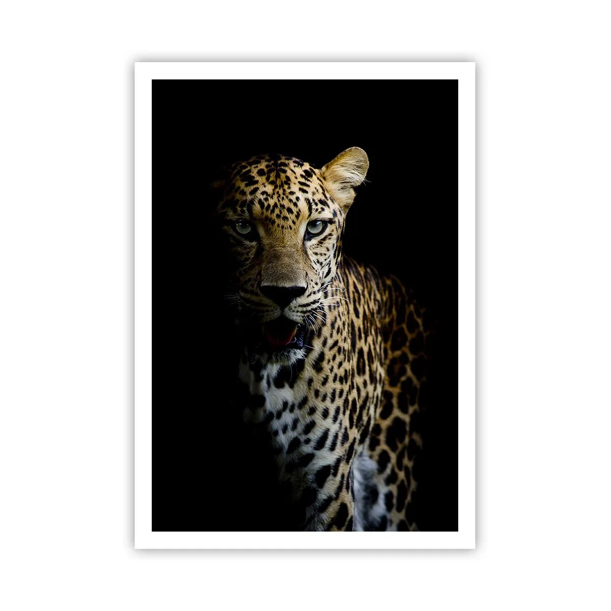 Poster - Donkere schoonheid - 70x100 cm