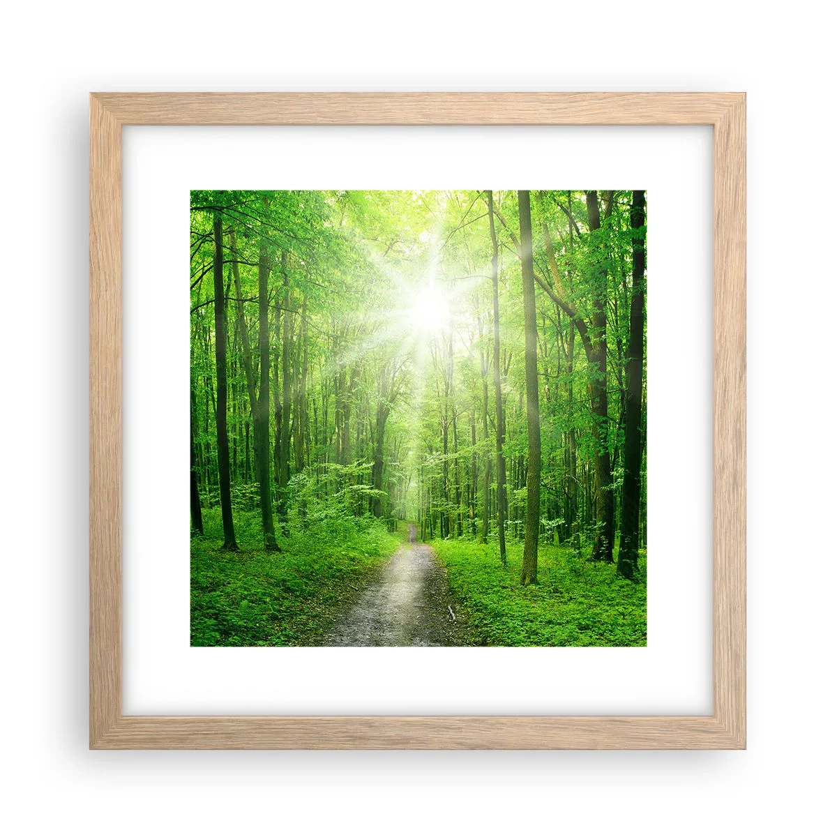 Een poster in een licht eiken lijst - De groene kathedraal - 30x30 cm