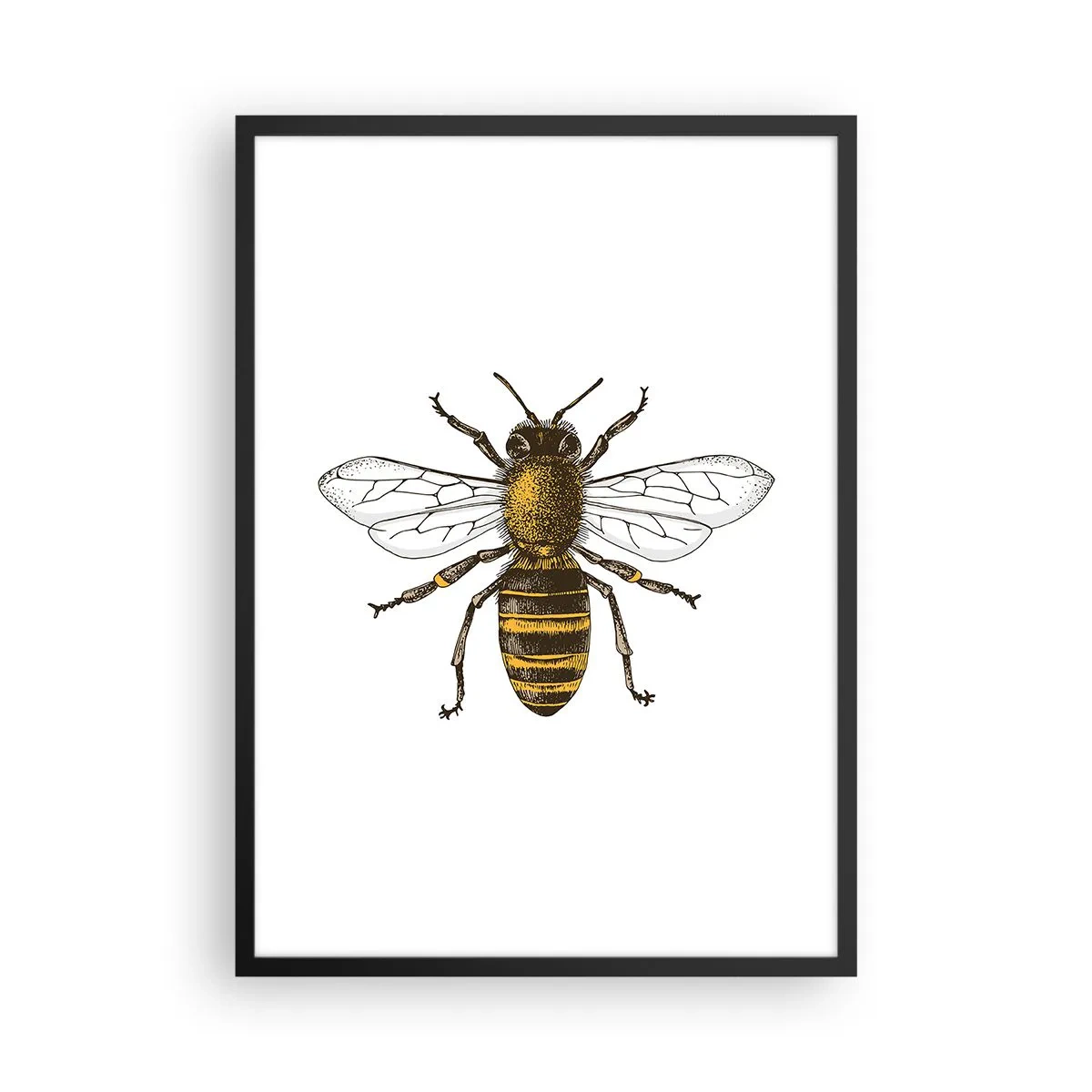 Poster in een zwarte lijst - Vintage bijendetailillustratie - 50x70cm - Mooi en goed - Moderne wanddecoratie voor woonkamer en slaapkamer ARTTOR