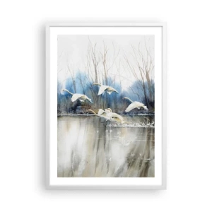 Poster in een witte lijst - Zoals in het sprookje over wilde zwanen - 50x70 cm