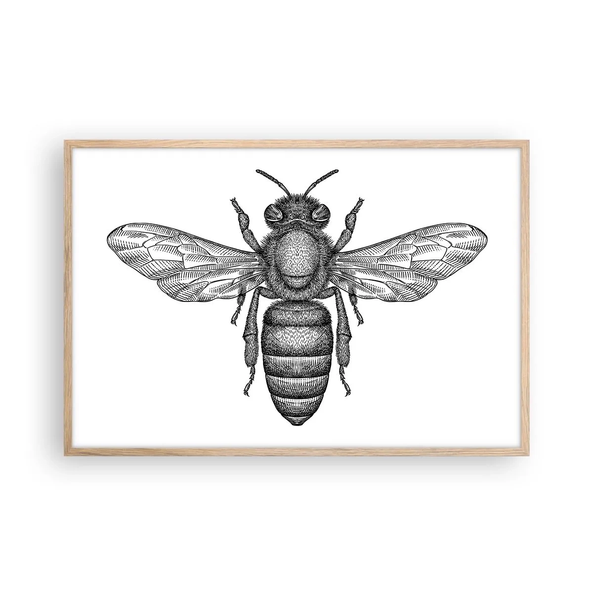 Een poster in een licht eiken lijst - Insectenportret - 91x61 cm