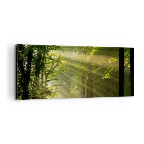 Schilderen op canvas - Bosmoment - 100x40 cm