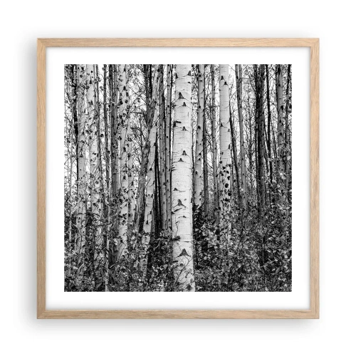 Een poster in een licht eiken lijst - Berken colonnade - 50x50 cm