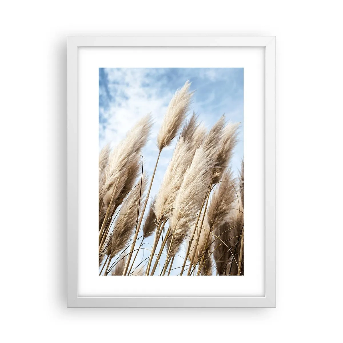 Poster in een witte lijst - Zonnige en winderige streling - 30x40 cm