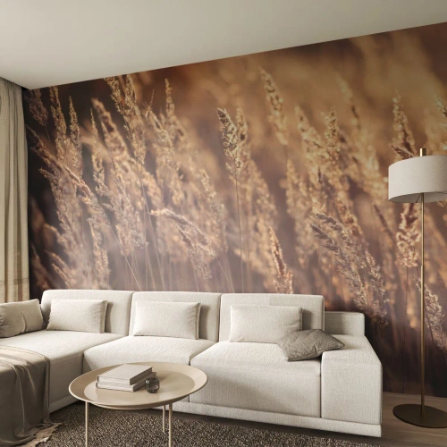 Fotobehang Premium Canvas - Klaar om de herfst te verwelkomen - Landschap, Oren van graan, Wei - 300x210 cm