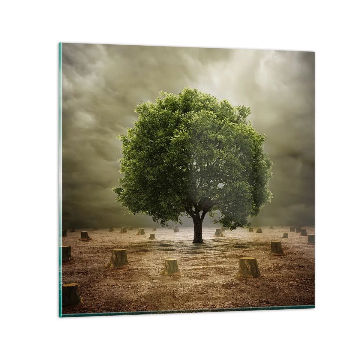 Schilderen op glas - Alle hoop - 60x60 cm