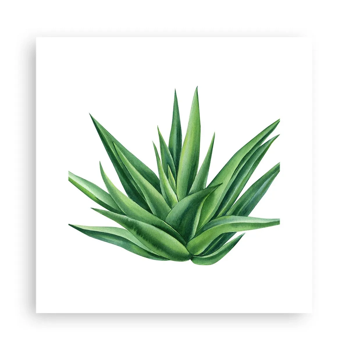 Poster - Groen – kracht – leven - 30x30 cm