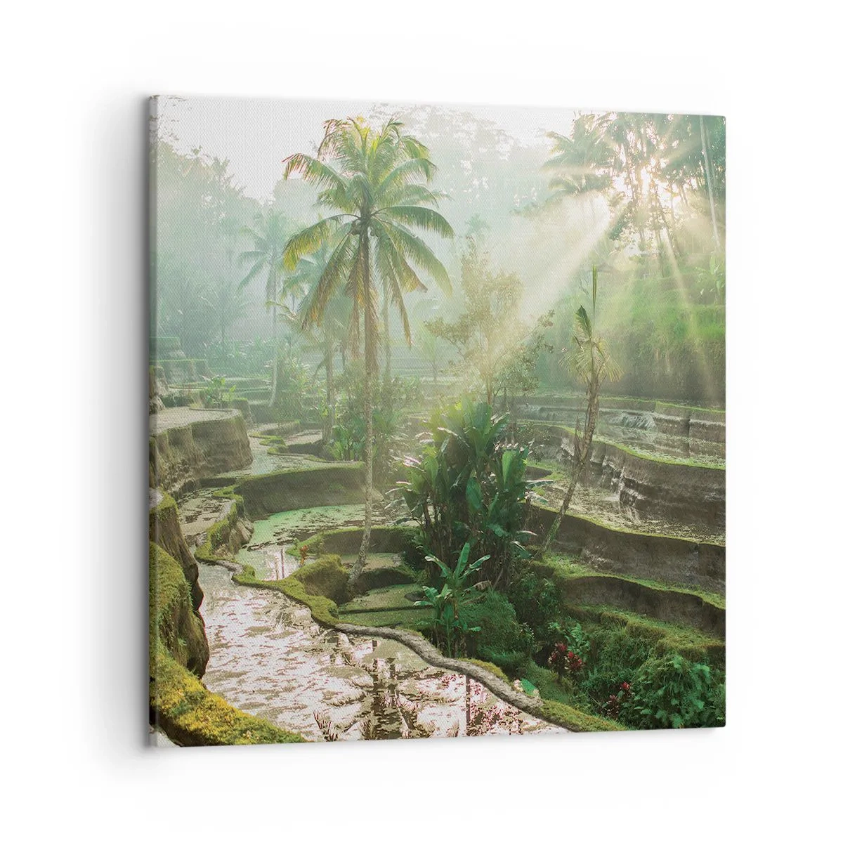 Schilderen op canvas - Opgroeien in de zon - 50x50 cm